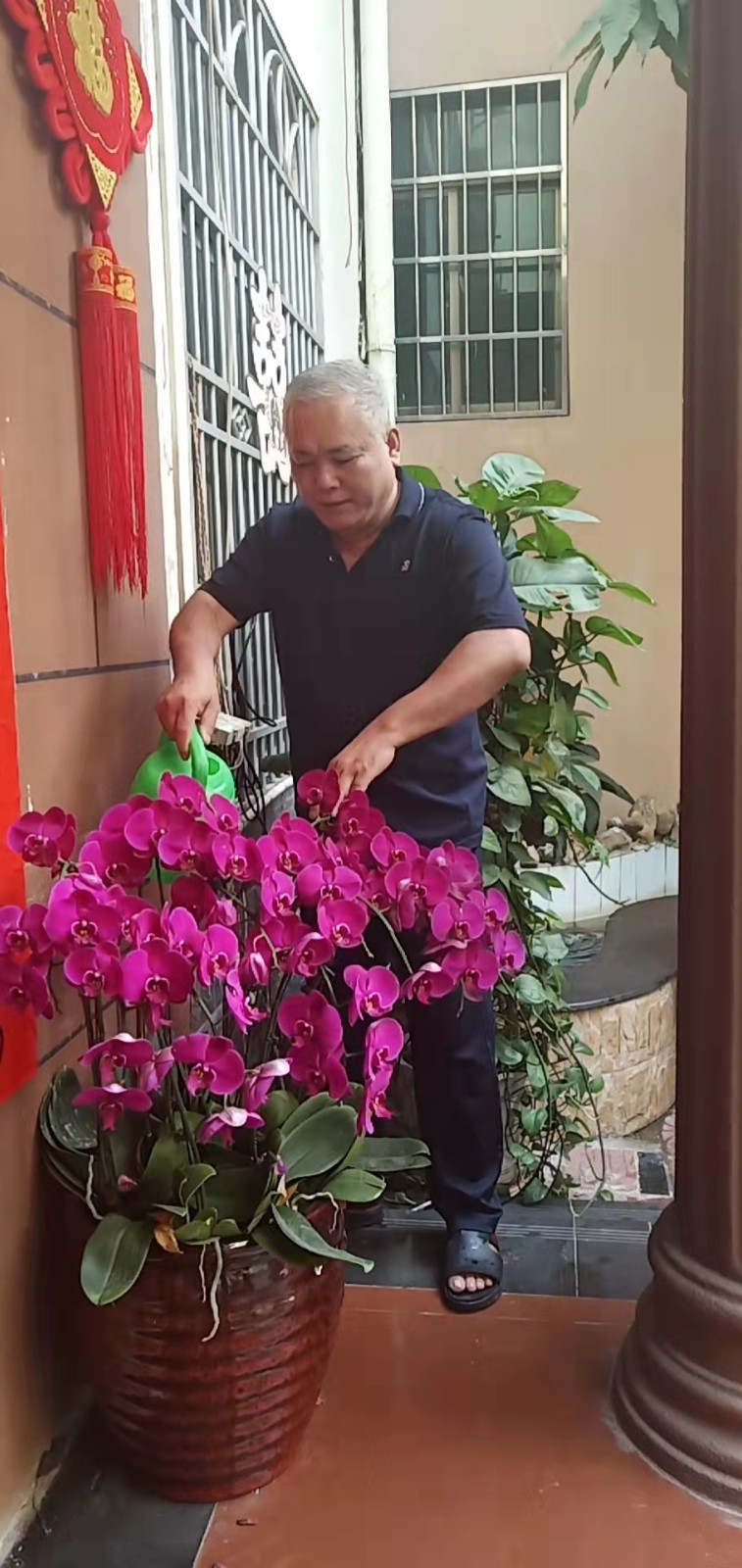 我与花的情结 作者/吴松 主播/张兵 博奕 小楼听雨（图5）