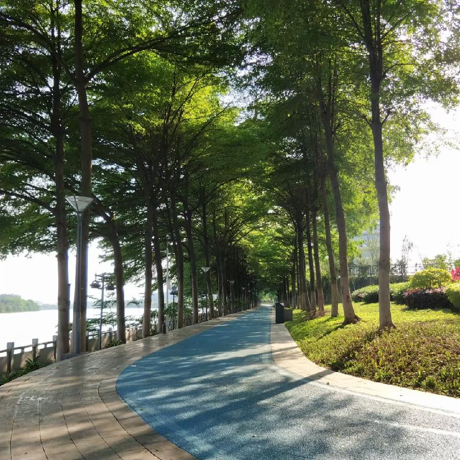 《江南诗絮-古韵风采》（图4）