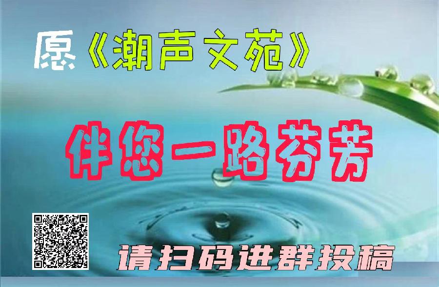 【潮声文苑】都刊011期||月色融融思故乡 依稀梦里想慈娘(图16)