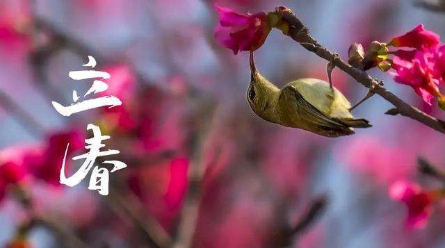 （诗词小辑）作者：牛运祖（湖北）【冰心文化传媒】（图7）
