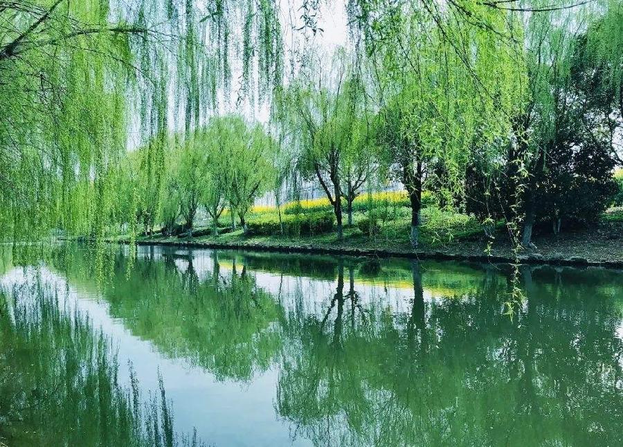 （诗词小辑）作者：牛运祖（湖北）【冰心文化传媒】（图12）