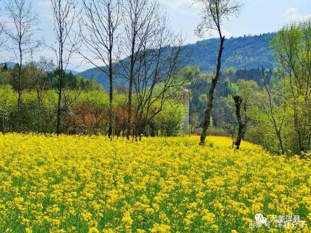（诗词小辑）作者：牛运祖（湖北）【冰心文化传媒】（图11）