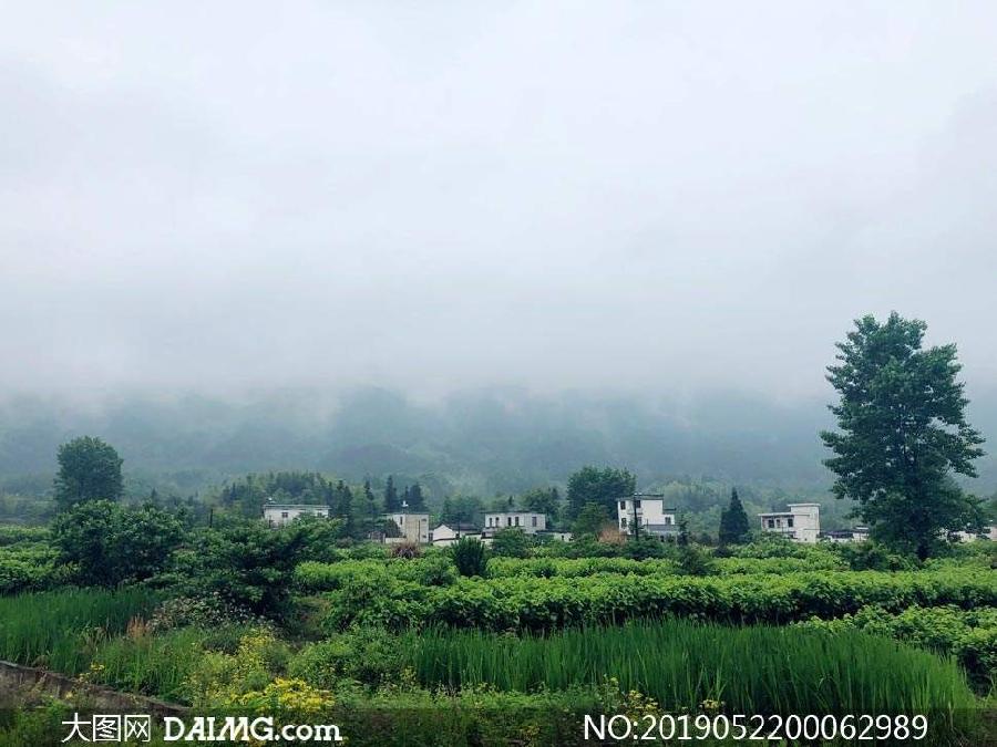 （诗词小辑）作者：牛运祖（湖北）【冰心文化传媒】（图25）