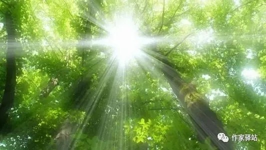 （诗词小辑）作者：牛运祖（湖北）【冰心文化传媒】（图31）