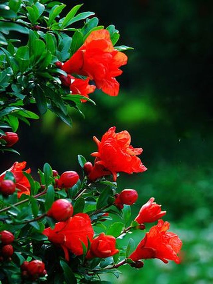 七绝 立夏（外六首）文／张昕（图3）