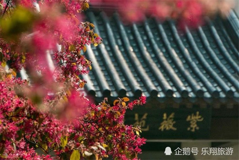 七绝 立夏（外六首）文／张昕（图6）