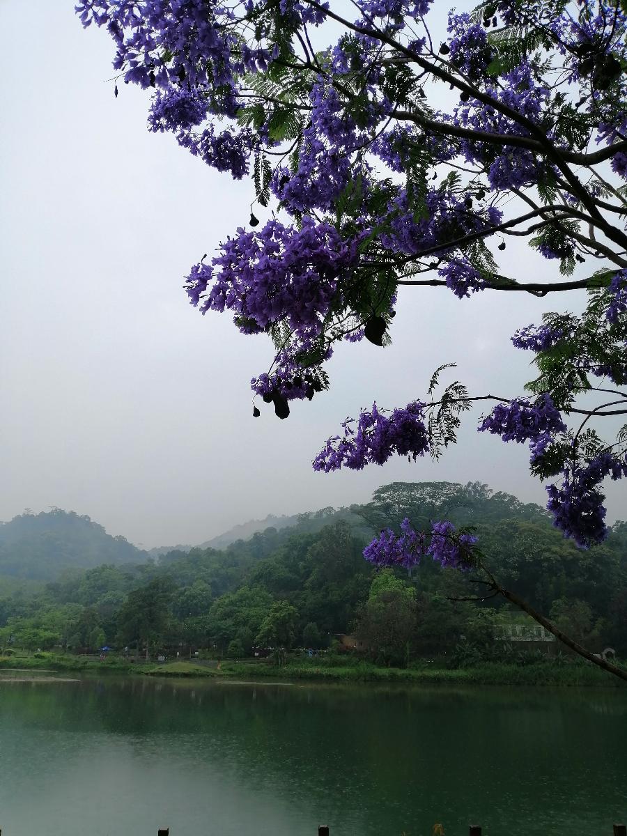 温泉立夏 ／江冲（图3）