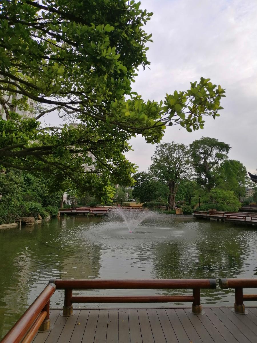 温泉立夏 ／江冲（图7）