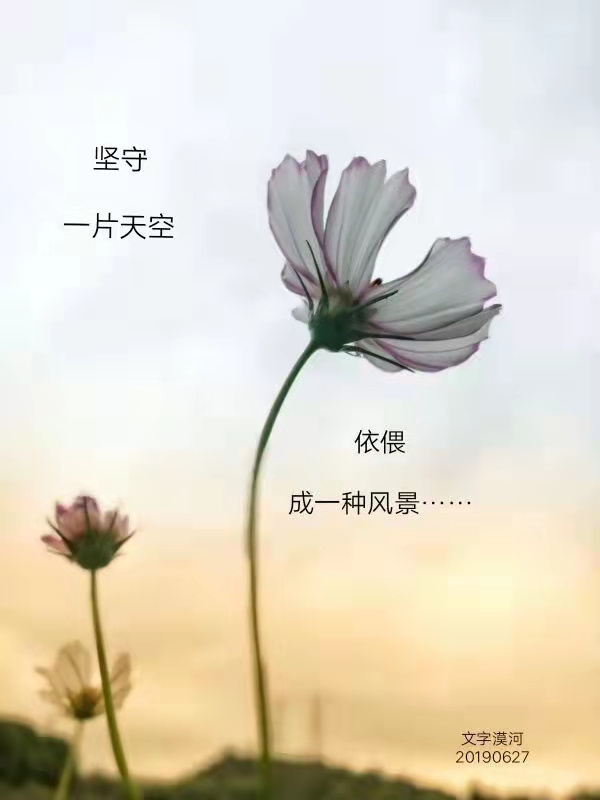 【雅诗总会】精品★《五月里的母亲节》‖诗人漠河&诵读:残云（图3）