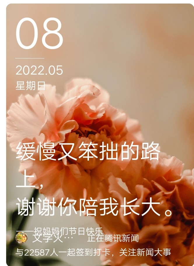 【母情節專題】:《母親的土地》門婆亞君（安徽界首）（图2）