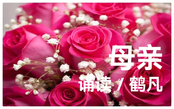 母亲节特刊《母亲如花》组诗 作者:婧暄 诵读:暄言艺术团成员(图3)