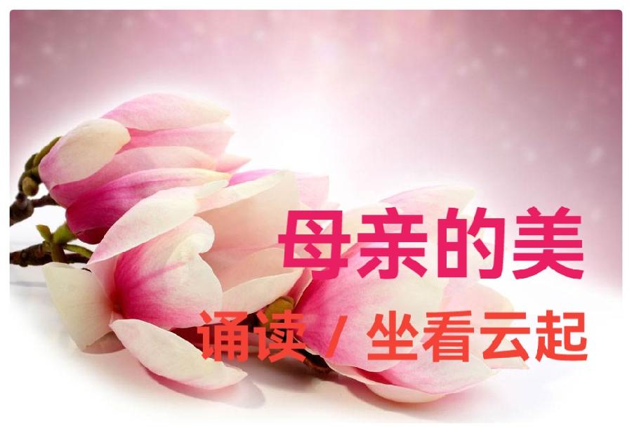 母亲节特刊《母亲如花》组诗 作者:婧暄 诵读:暄言艺术团成员(图4)