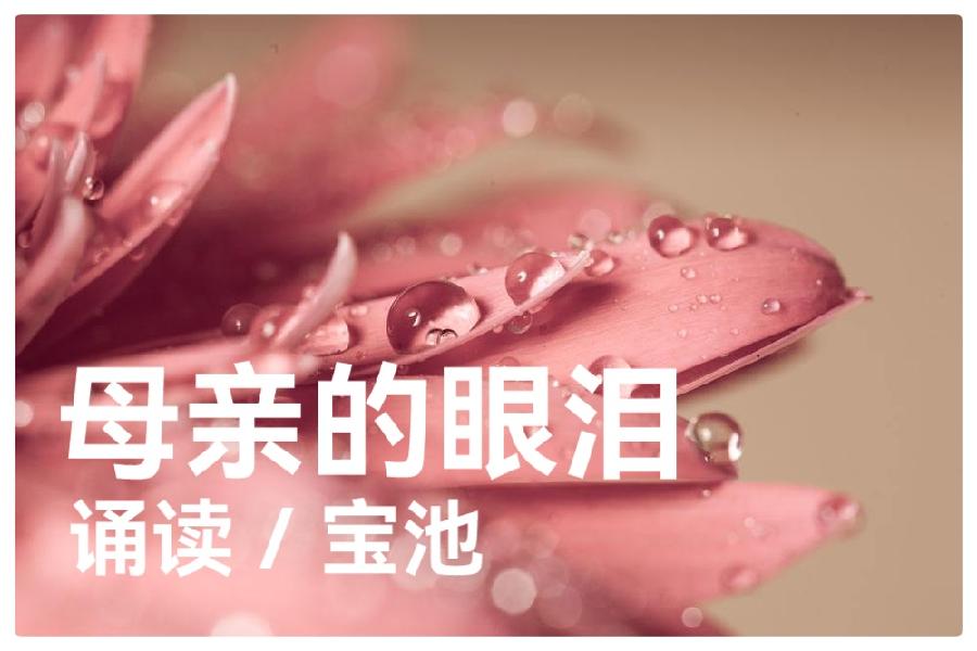 母亲节特刊《母亲如花》组诗 作者:婧暄 诵读:暄言艺术团成员(图7)