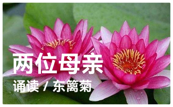 母亲节特刊《母亲如花》组诗 作者：婧暄 诵读：暄言艺术团成员（图8）