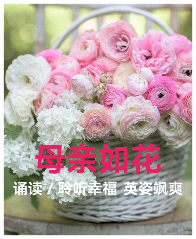 母亲节特刊《母亲如花》组诗 作者:婧暄 诵读:暄言艺术团成员(图10)