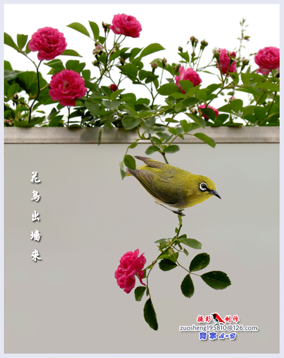【潇湘文学社】潇湘风荷联社《对句练习》(总335期)(图4)