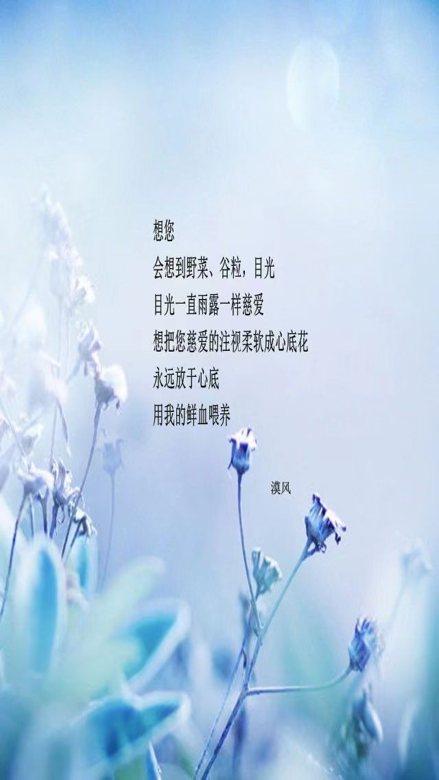 联机全球发布黄玉萍精品诗歌《致天堂的母亲》（图9）
