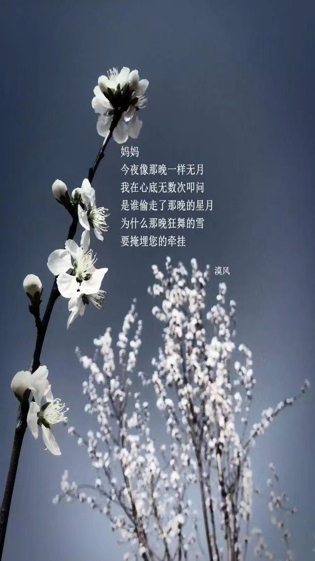 联机全球发布黄玉萍精品诗歌《致天堂的母亲》（图5）
