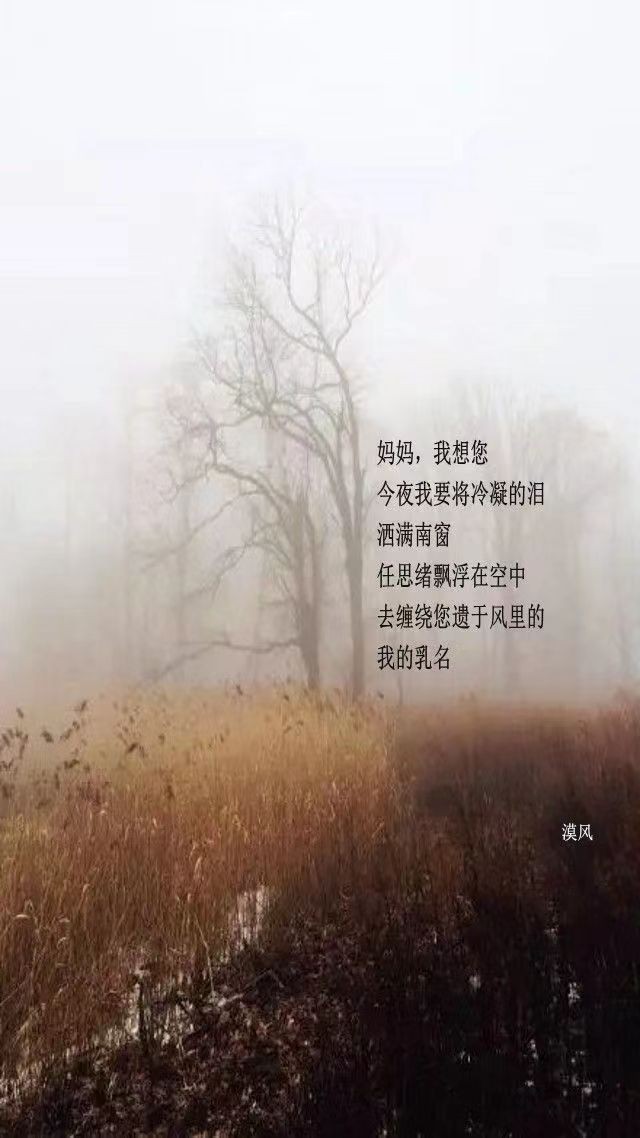 联机全球发布黄玉萍精品诗歌《致天堂的母亲》（图4）