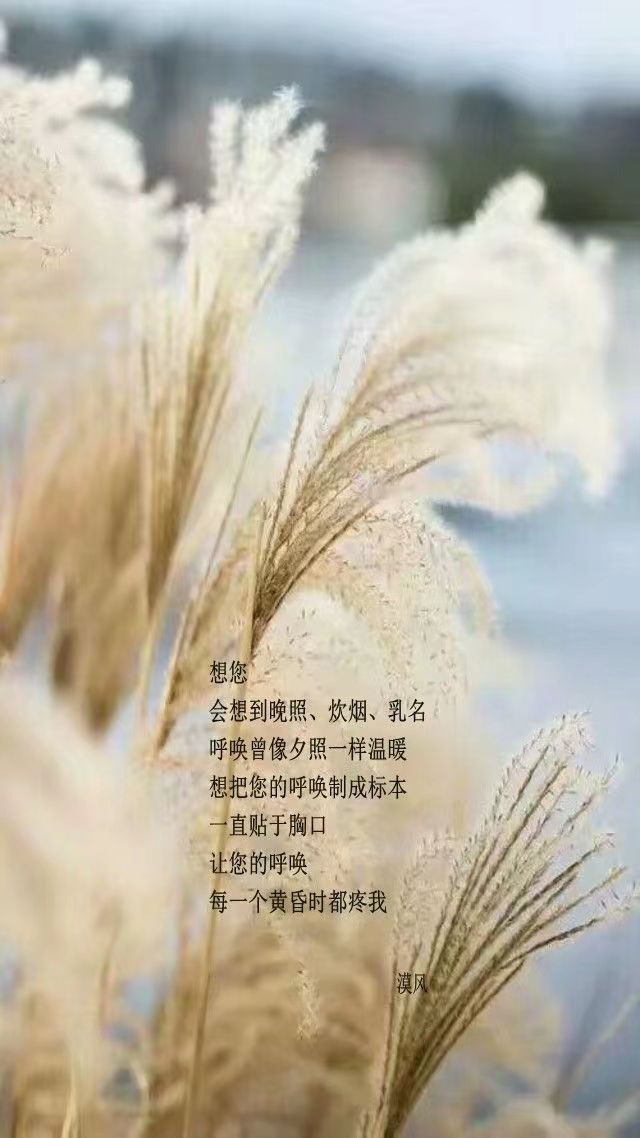 联机全球发布黄玉萍精品诗歌《致天堂的母亲》（图10）