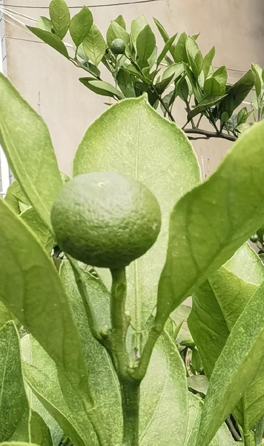 联机全球发布王永恒精品诗歌（图4）