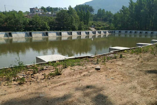 174002993.jpg 寰俊鍥剧墖_20220508170028_鍓湰_鍓湰.jpg