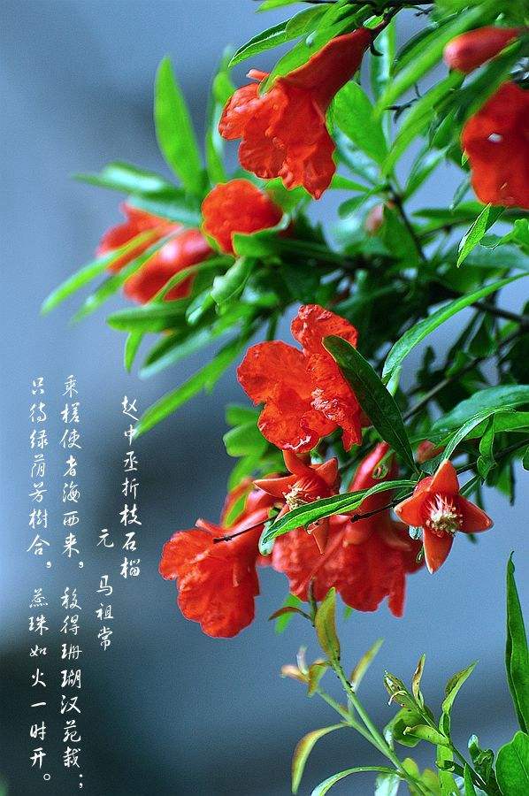 中华诗艺九江格律诗词精品鉴赏(合辑)第1429期(图11)
