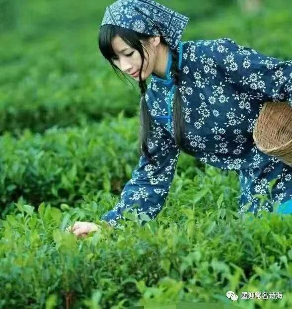 *立夏感怀*（外一首）文／山乡（湖北）【冰心文化传媒】（图4）