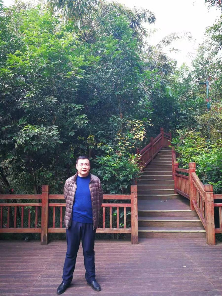 *黑夜的到来*(外二首)作者:暮野(陕西)【冰心文化传媒】(图11)
