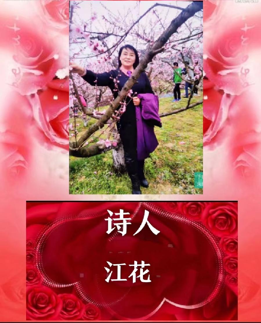 🌹琬乔朗诵《妻想来哨卡》作者：江花（图7）