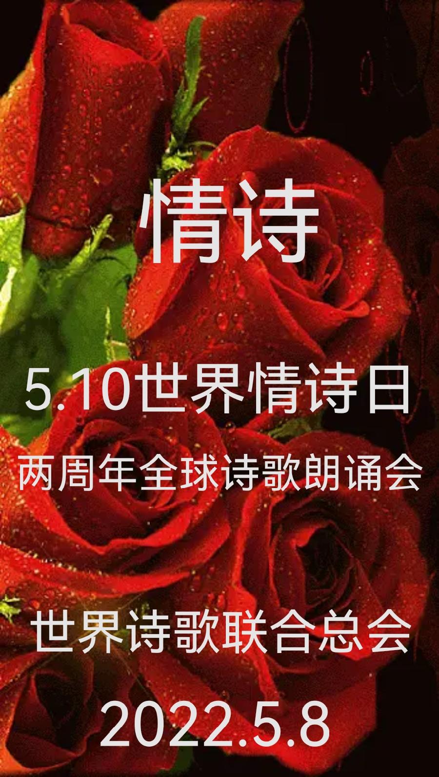 🌹马丽朗诵《远方的你》作者：刘秀
