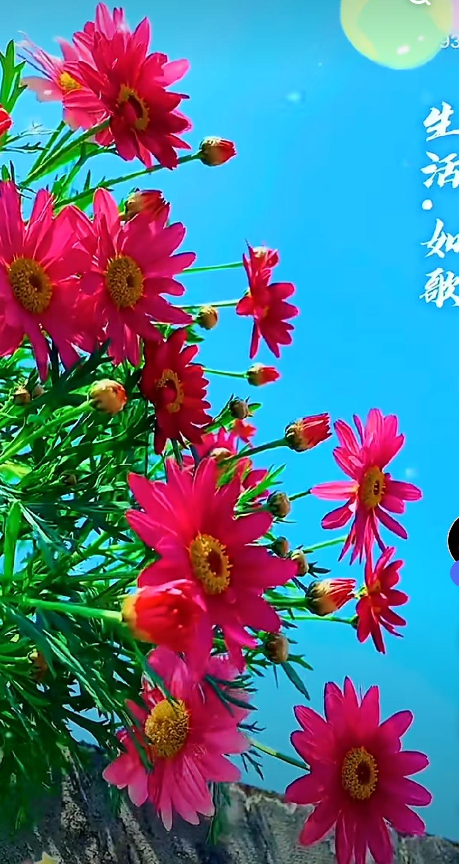【佳作推荐】高文庆《七律•怀念母亲》外一首（图12）