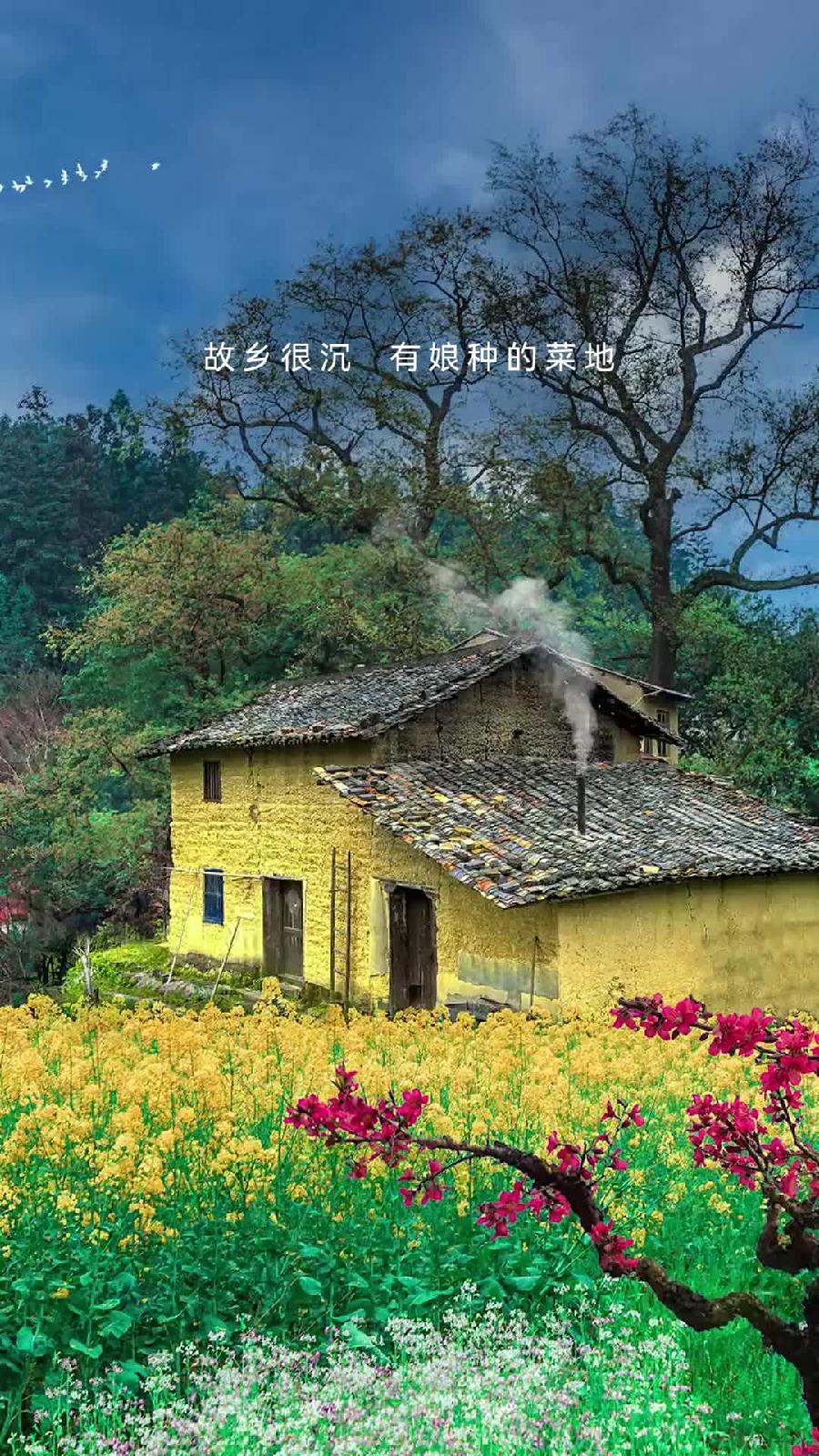 阿紫诗歌选读ll娘的那扇窗ll诵读 老菩提（图4）