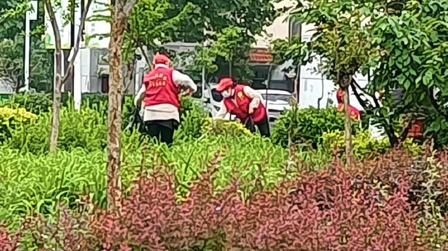 志愿者雨中奉献 百姓们真心称赞（图5）