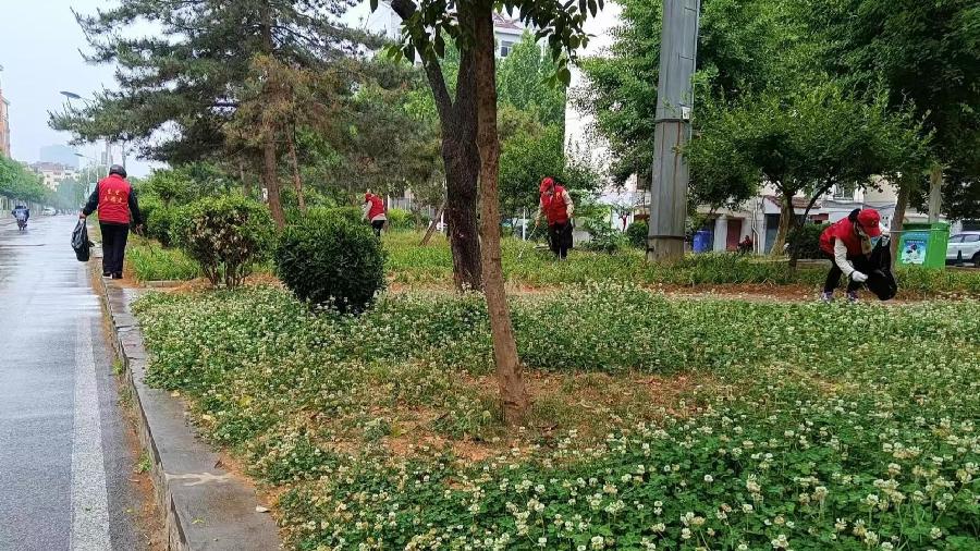 志愿者雨中奉献 百姓们真心称赞（图7）