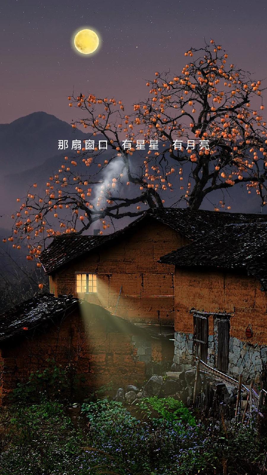 阿紫诗歌选读ll娘的那扇窗ll诵读 老菩提（图5）