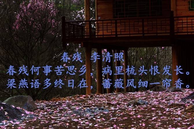 【潇湘文学社】潇湘问梅诗社《叹春残》(总337期)(图8)