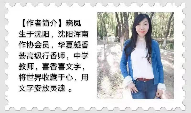 致逝去的时光：作者 晓凤｜海外头条（图4）