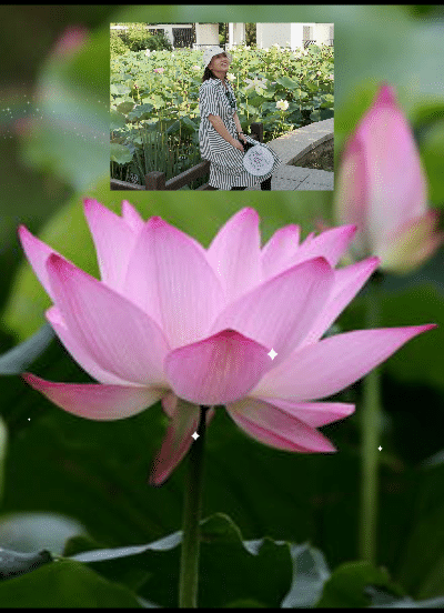 《和你在一起》作者：黄清宝 合诵岁月静好、贝文、雨季 编辑：宋梅 【中国长江文学社】有 声文学平台（图3）