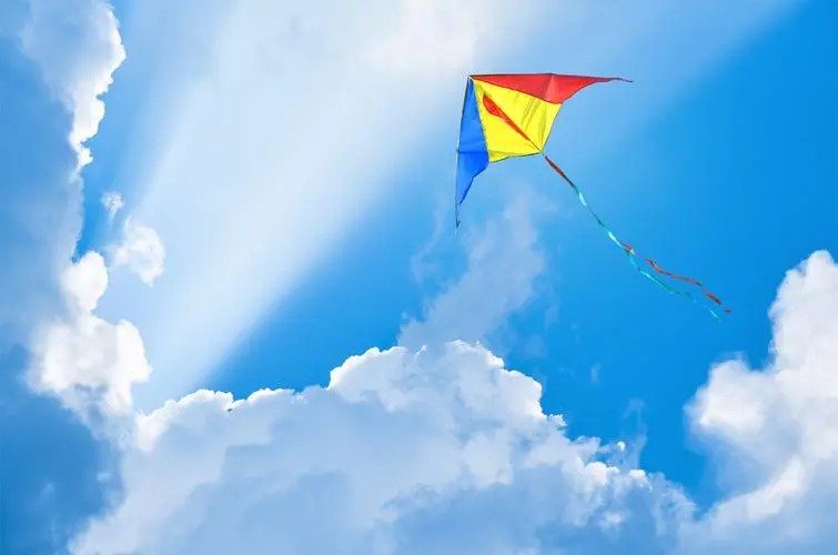 【九月茶韵文学诗社】2022——011期《断线的风筝》作者左龙 朗诵 编辑制作刘林丽(图2)