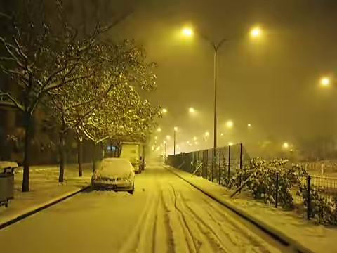 【新诗大观】大雪之夜（诗十首）||作者/刘挽春