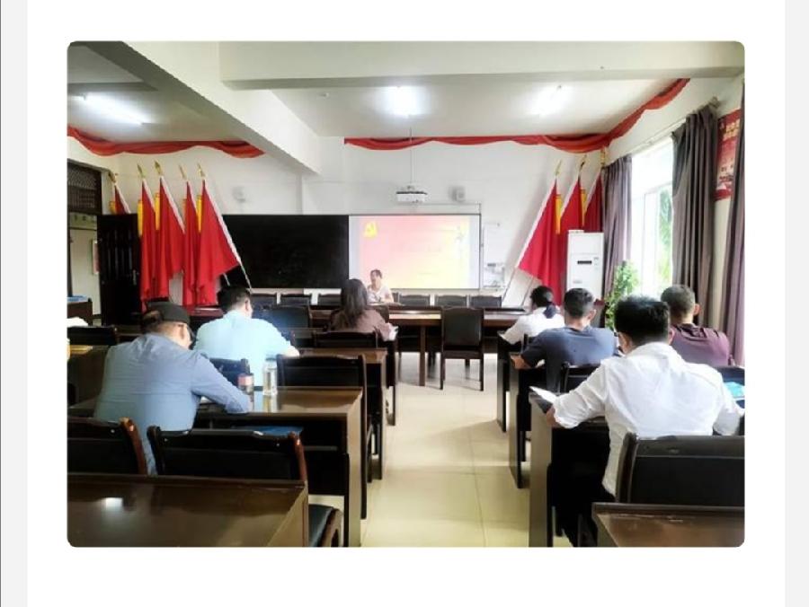 【允美党建】允景洪小学党委开展新一届党支部委员教育培训活动(图3)