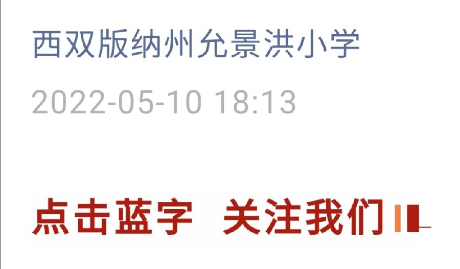 【允美党建】允景洪小学党委开展新一届党支部委员教育培训活动