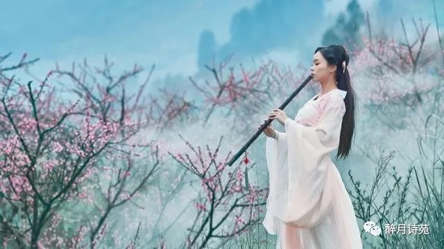 风雅诗诗·第十九期·格律篇（图5）