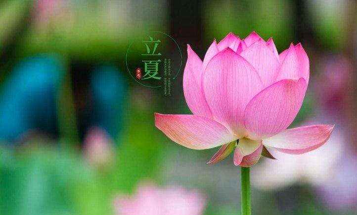 【潇湘文学社】潇湘紫竹诗社《随吟辑》(总338期)(图19)