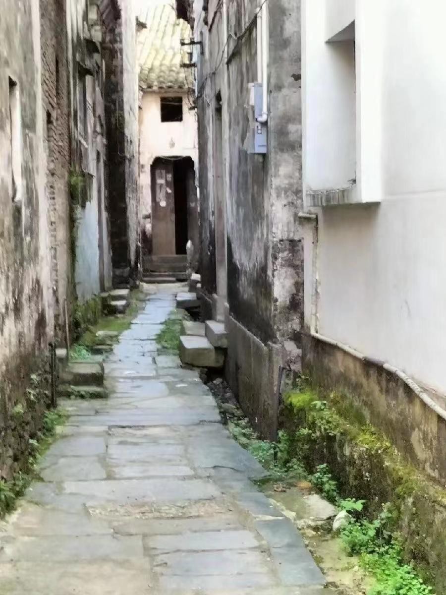 【名家专刊】【九江文学社:北京头条】《情系皖南》(外二首)作者/钟扬(原创首发)(图7)