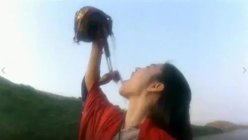 【武侠世界的神功】小小流水专辑