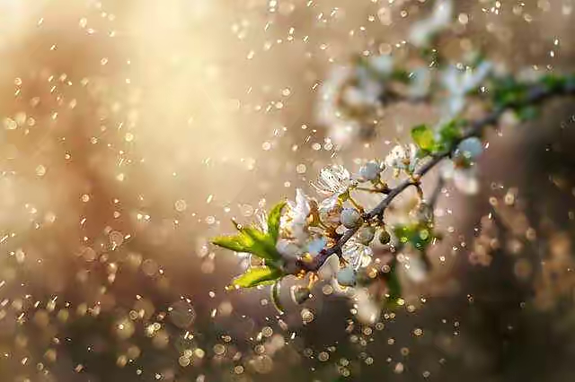 宋金龙诗歌三首：诵读者王辉·康亚丽·高素芸｜海外头条（图5）