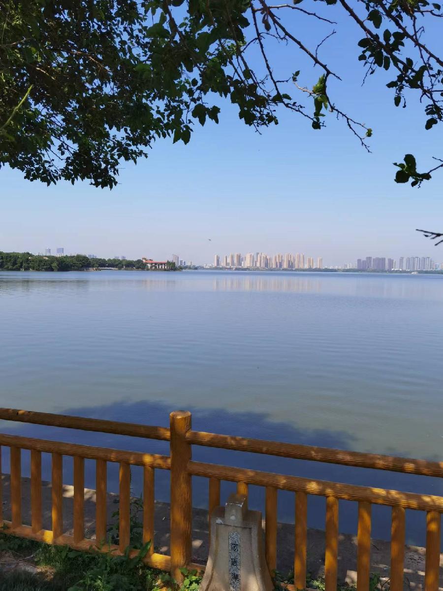 行香子 . 汤逊湖居 武汉 陈遵发（图2）