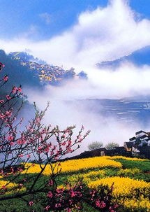 杨秀杰老师诗歌专辑欣赏《七律十八首》 编辑:宋梅【中国长江文学社】有声文学平台第3740期（图13）